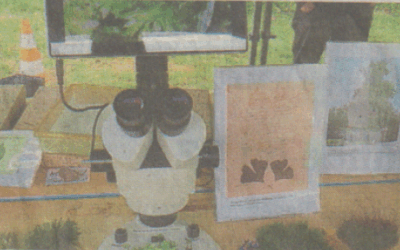 Mikroskope für Naturmuseum