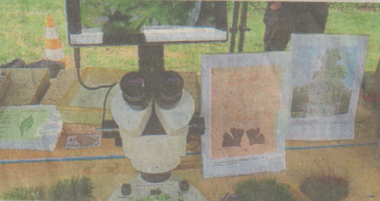 Mikroskope für Naturmuseum