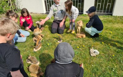 Ostern 2025: „NATURKIND – Ferienprojekt in Wald, Feld und Flur“