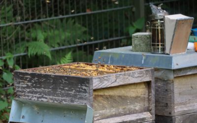 KITZ.do mit 15.000 € Preisgeld unterstützt